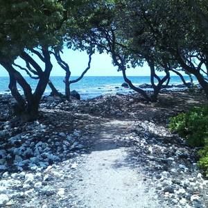 Meet your Posher, Jeff